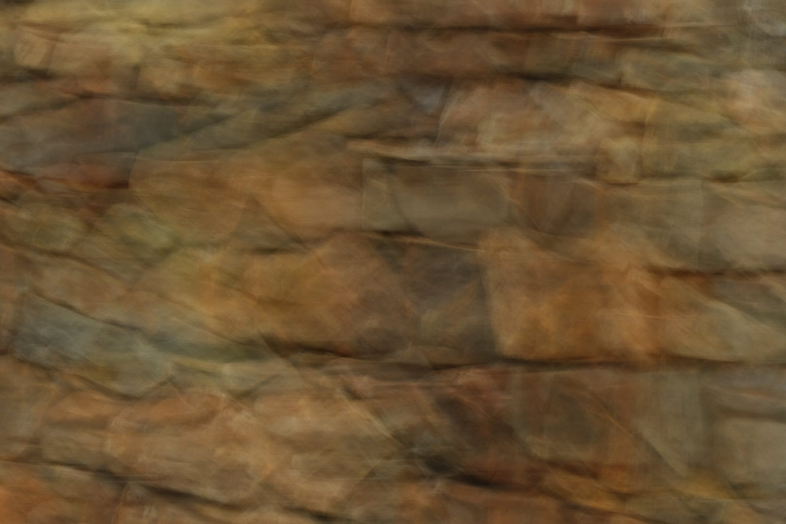 DSCF5195@0.5x
