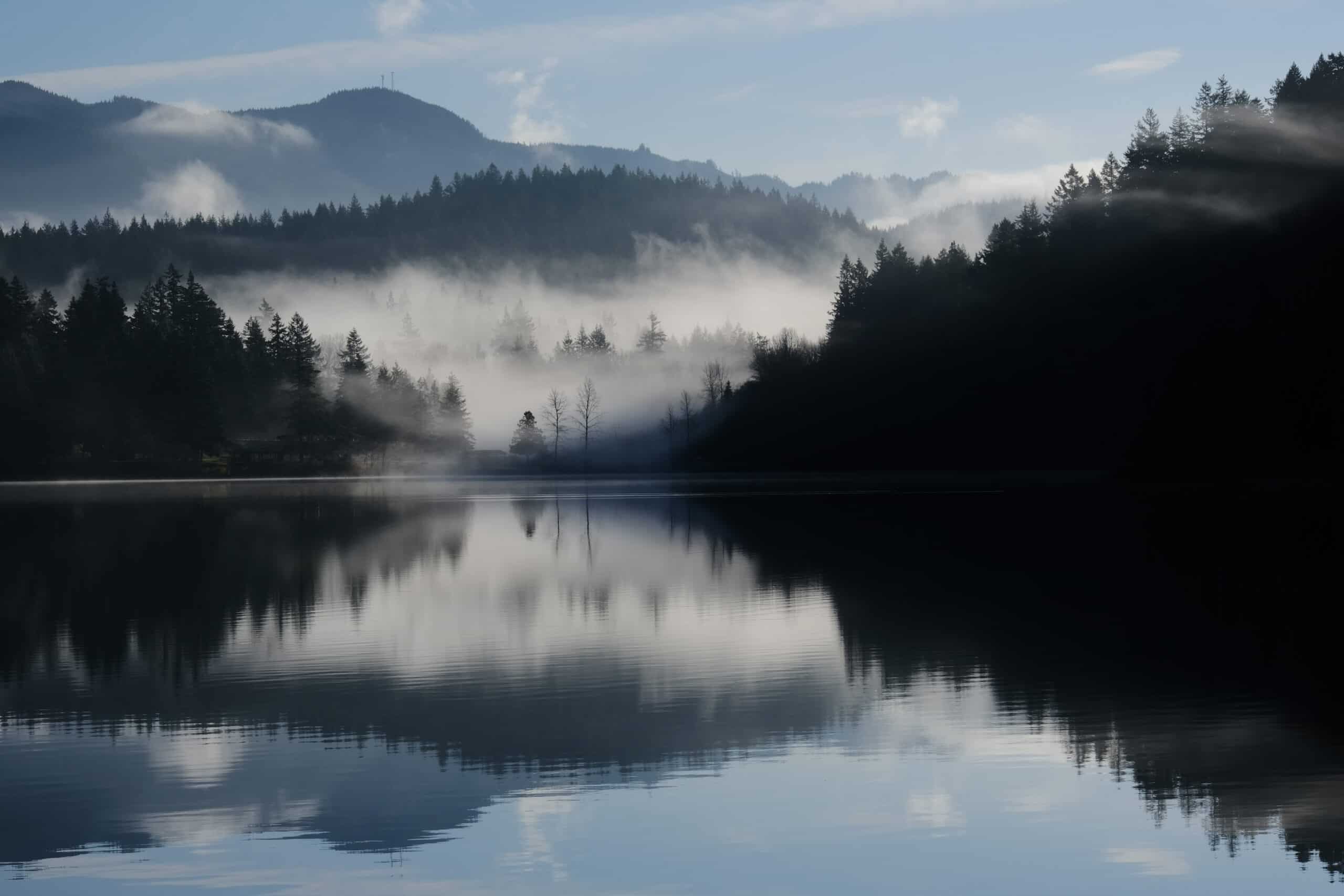 Scholtz_Mist Rising Over Lake Padden