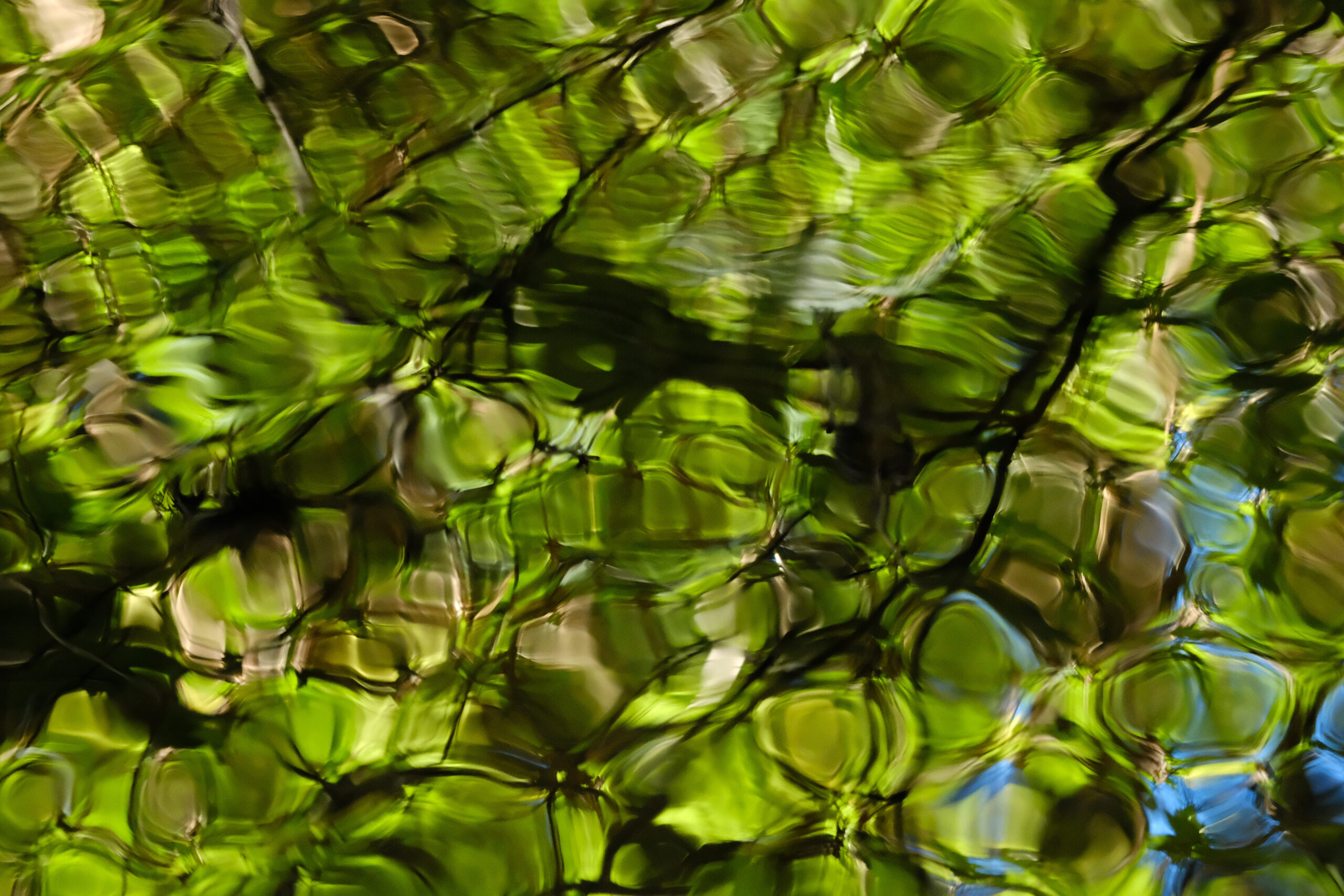 web tidal-05
