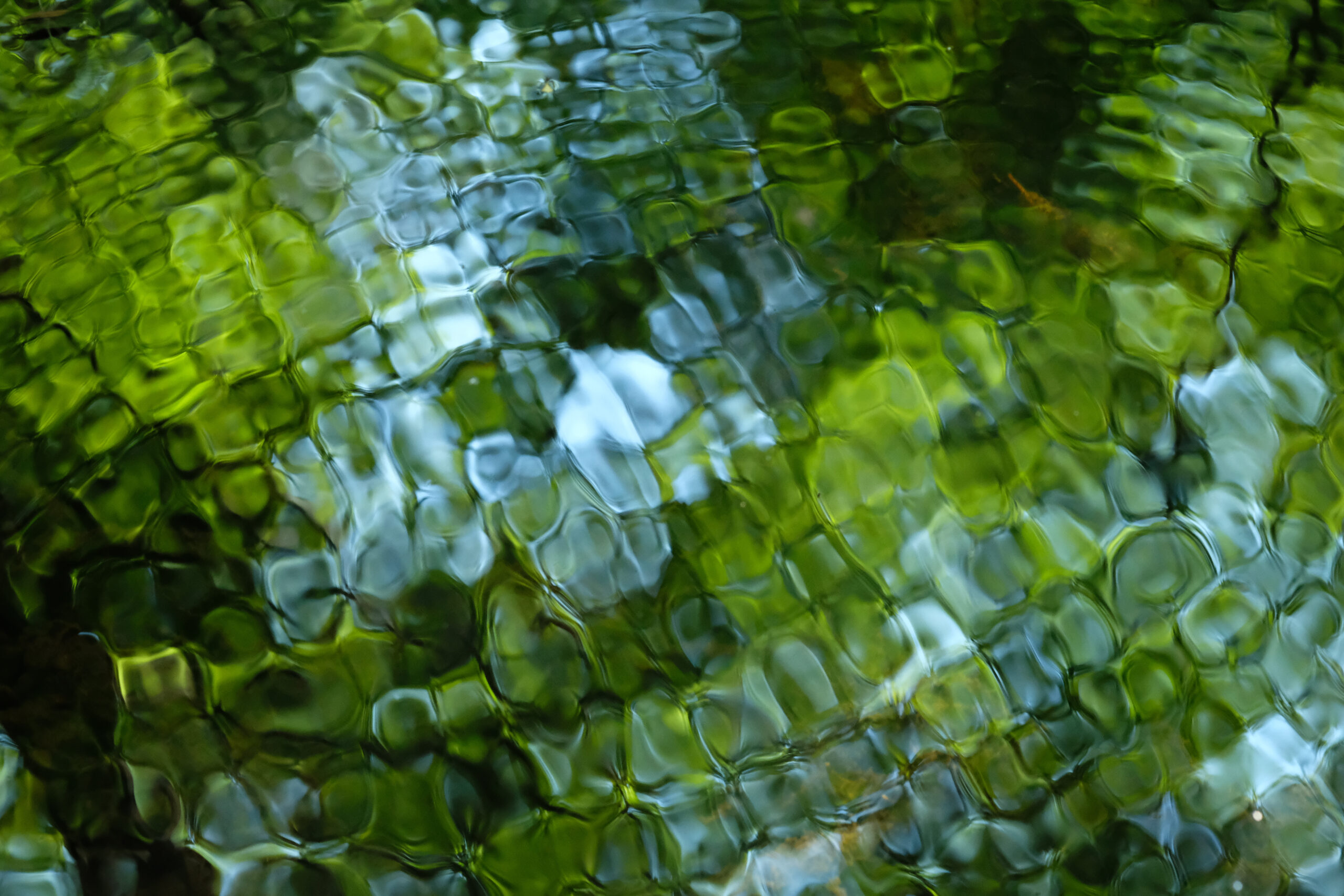 web tidal-06