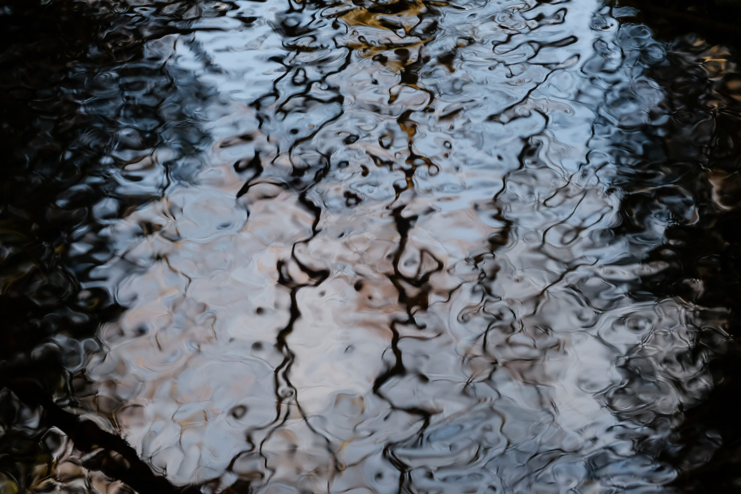 web tidal-08