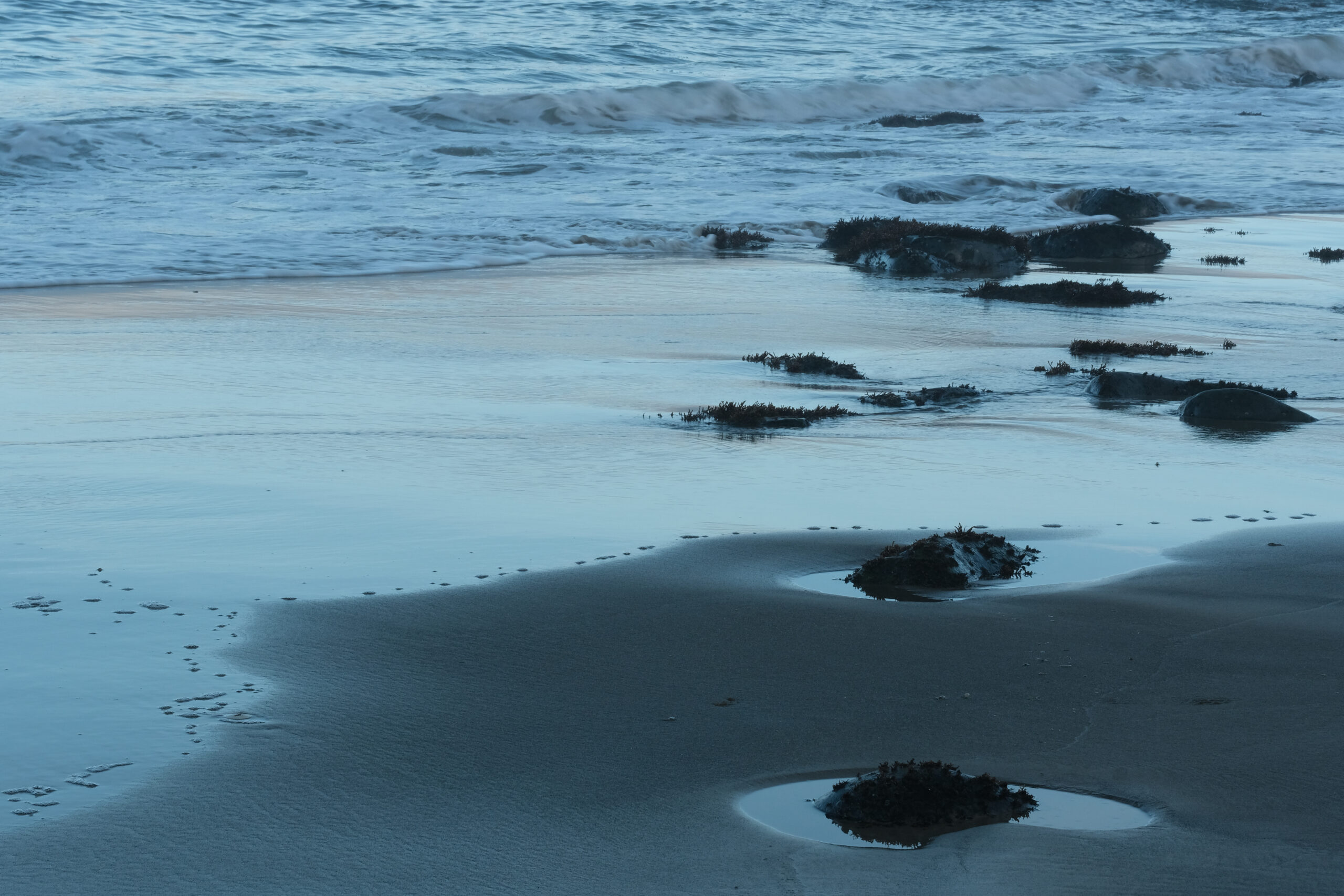 web tidal-23