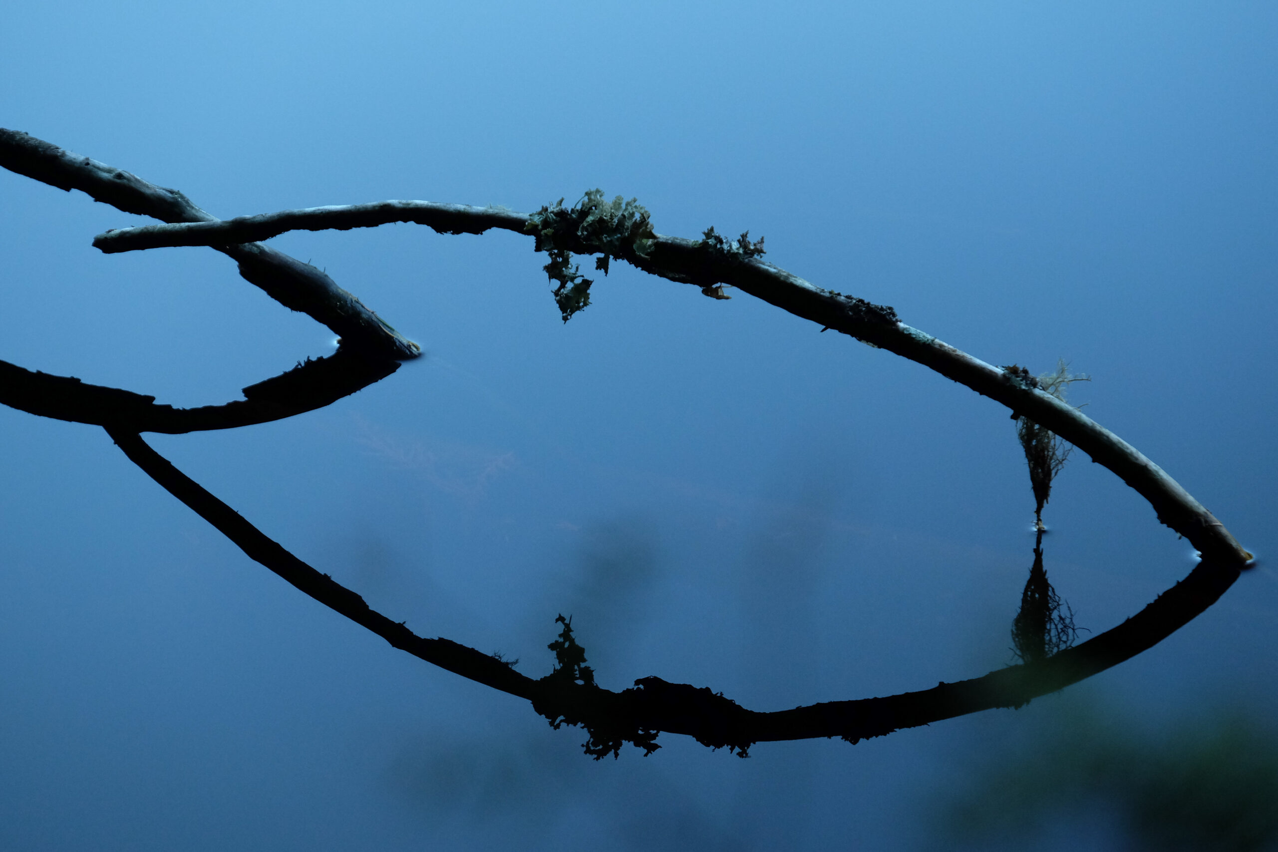 web tidal-31
