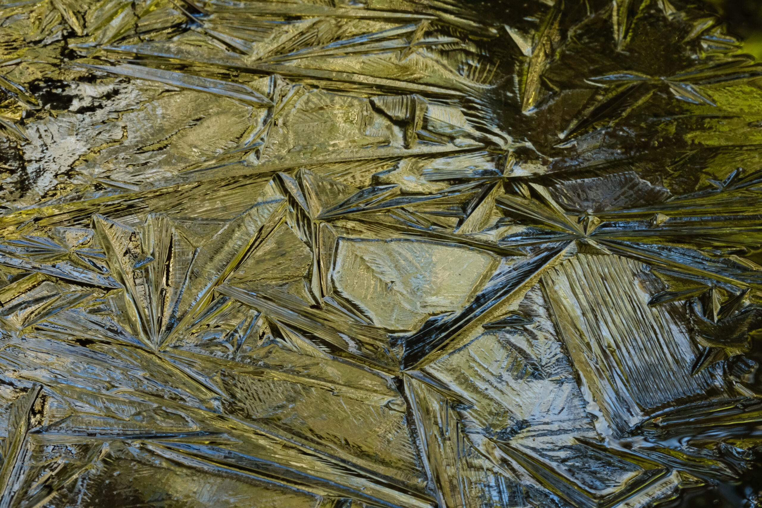 web tidal-38