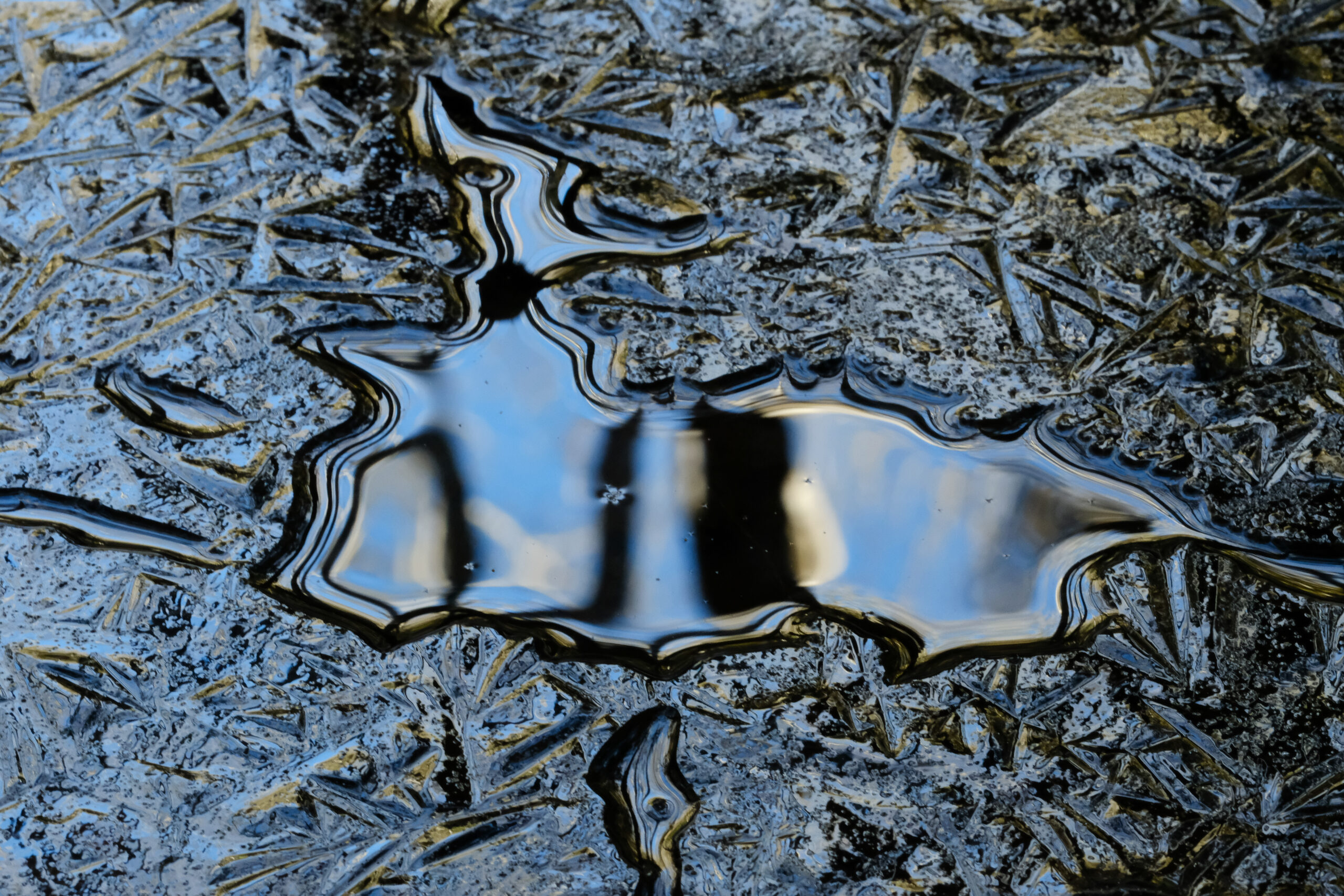 web tidal-39