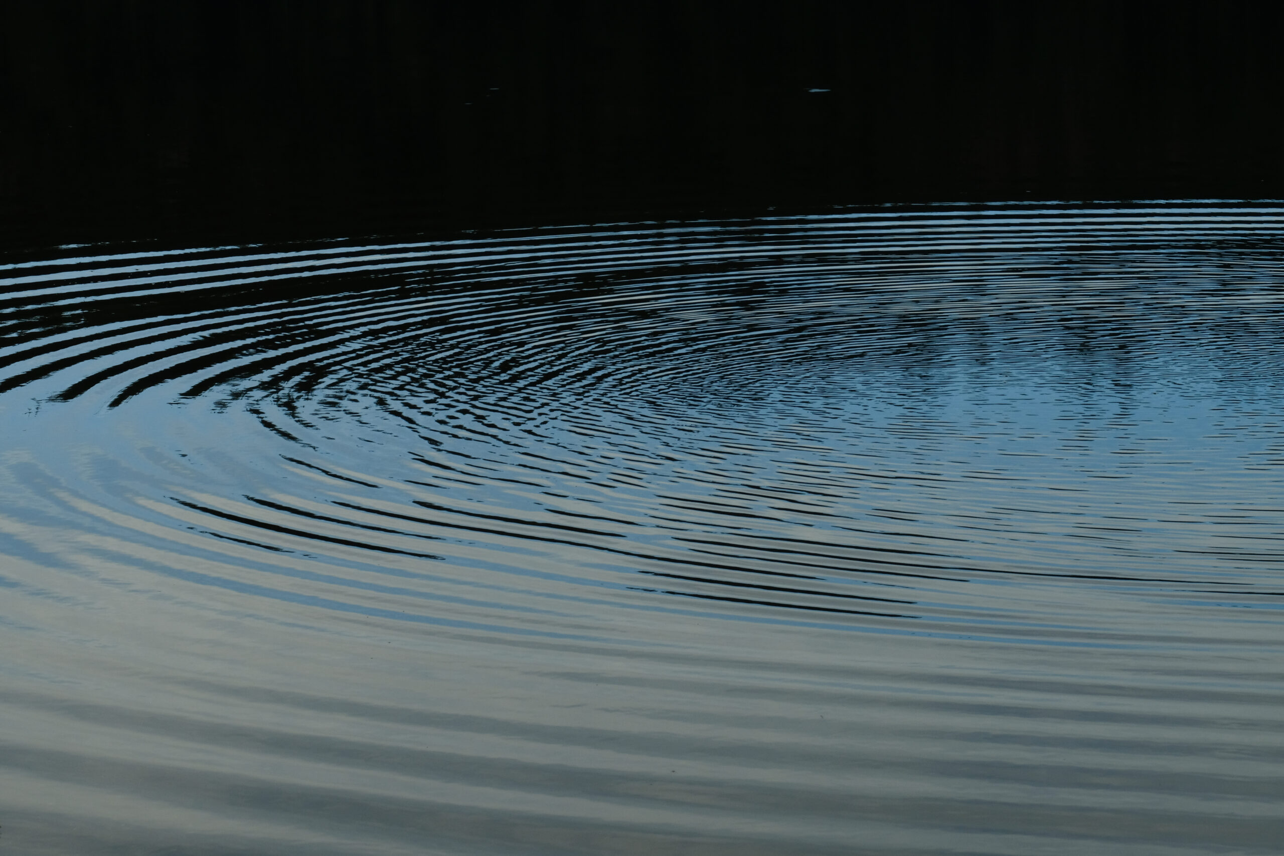 web tidal-49
