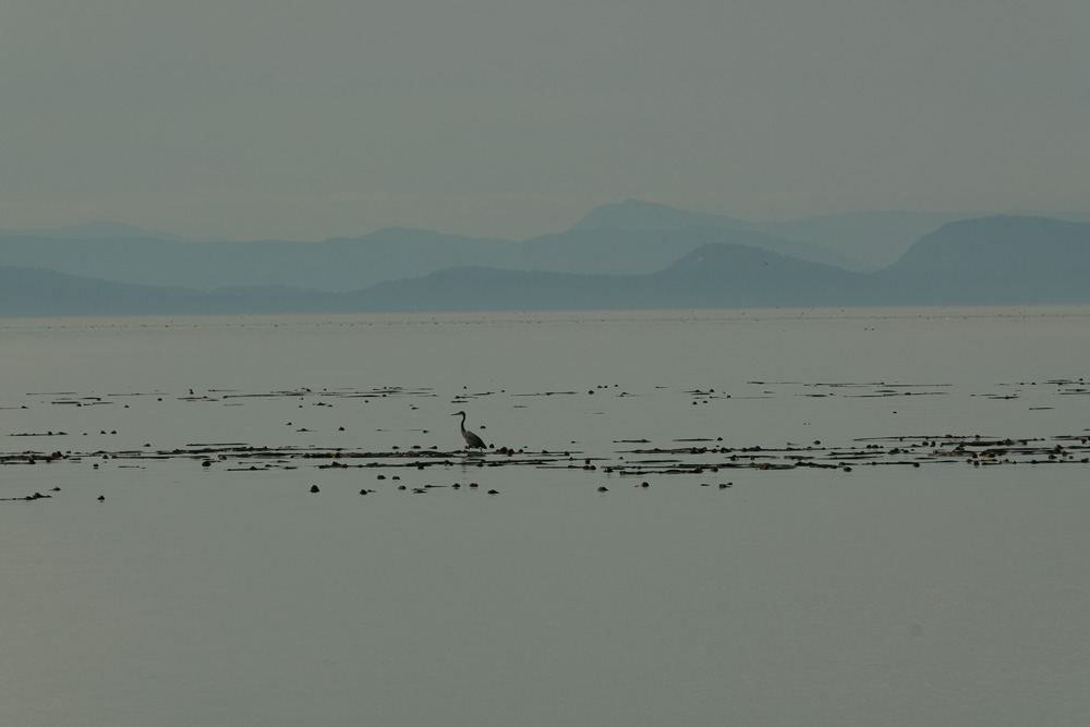 DSCF2837-7