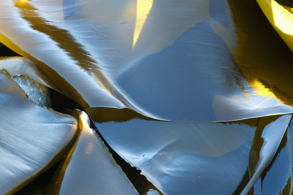DSCF3048-27