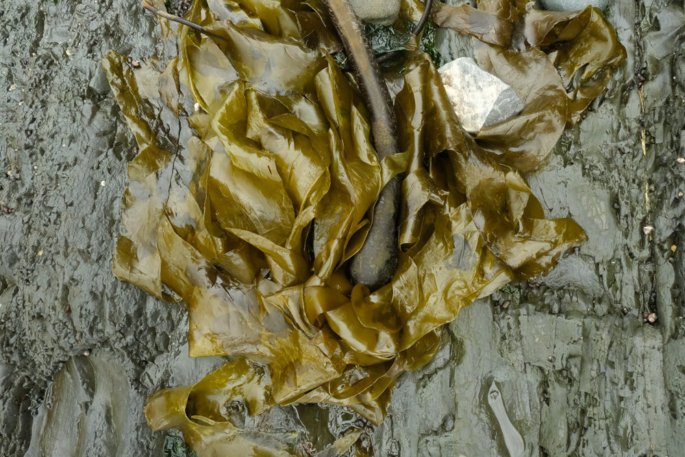 DSCF5997-12