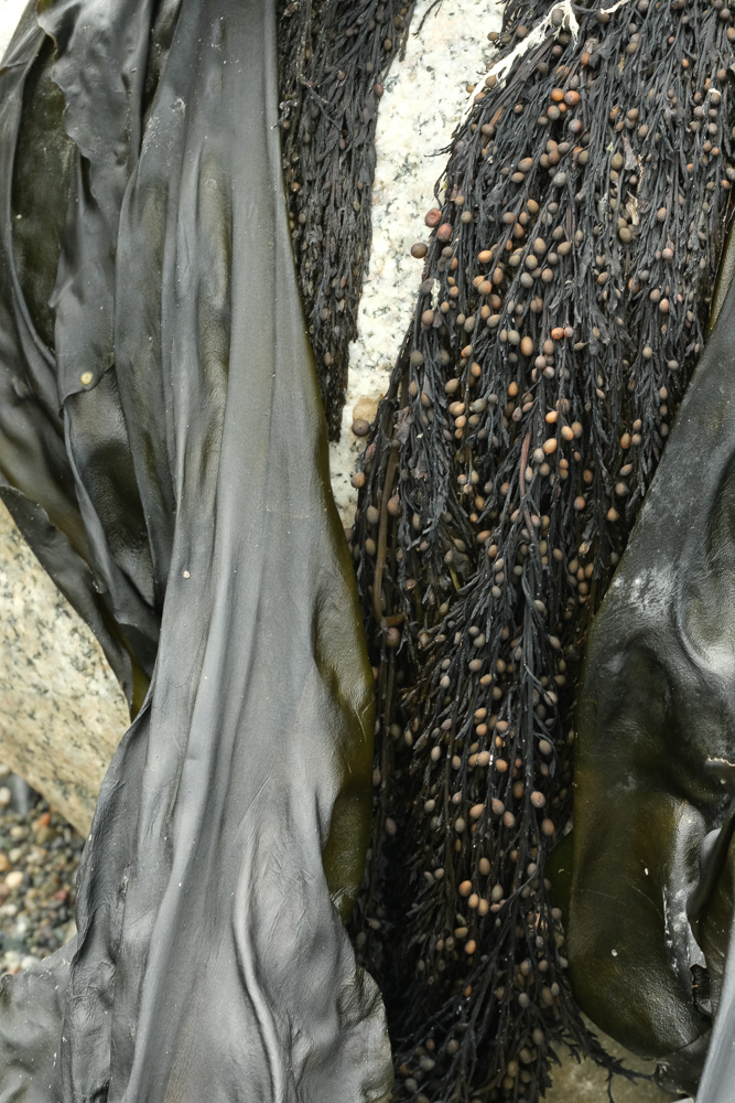DSCF7163-21